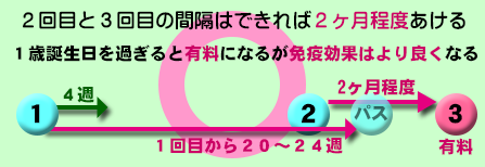 ｂ型肝炎ワクチン 16 10 1から定期接種 小泉重田小児科